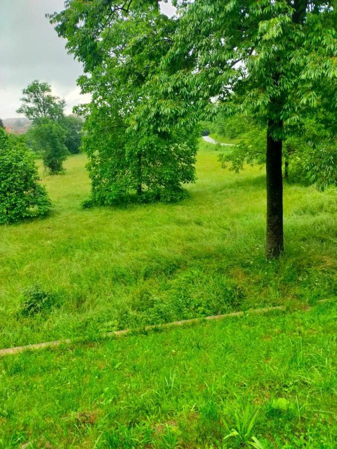 Il Bosco Incantato Borgo San Dalmazzo Luaran gambar
