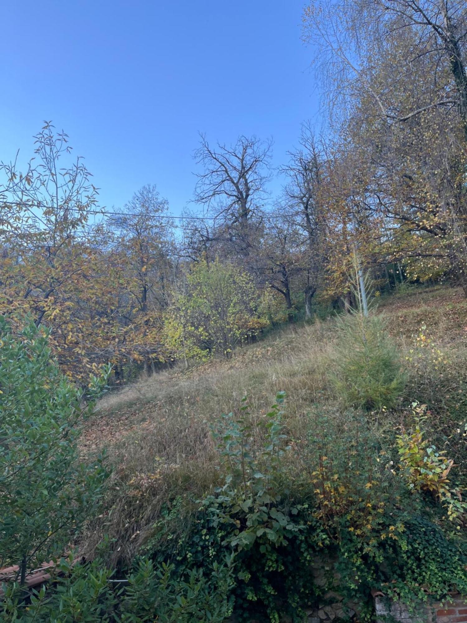 Il Bosco Incantato Borgo San Dalmazzo Luaran gambar